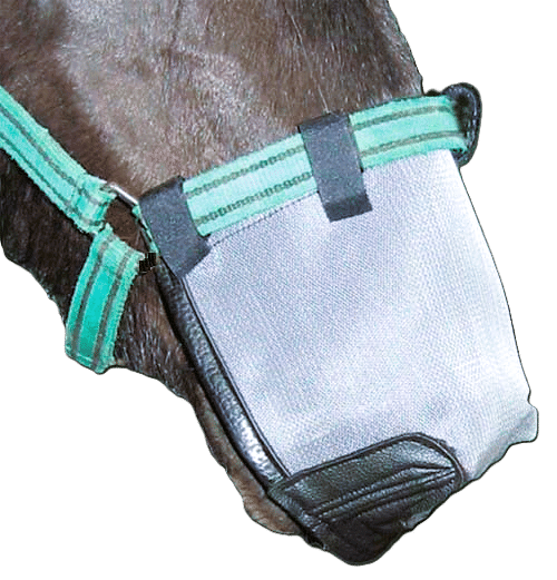 Nüsternschutz fürs Pferd